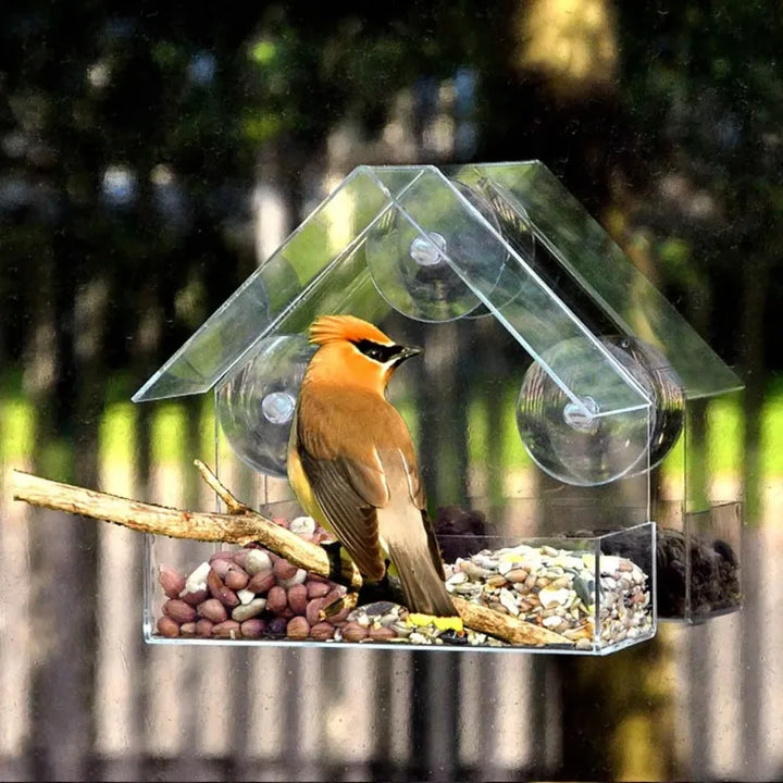 1pc/2pcs Window Wild Bird Feeder House Transparent Wild Table Removable Suction Cups Sliding Feed Tray Patio Yard  Hummingbird - Vogue Vista UK