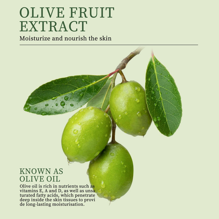 Olive Oil Antioxidant Skin Care Set 6-in-1With Facial Cleanser, Face Cream, Eye Cream, Lotion,Toner,Serum,Care Travel Facial Kit - Vogue Vista UK
